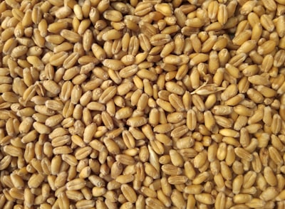 Premium Wheat