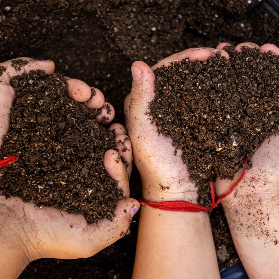 Vermicompost export from India